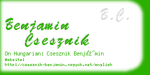 benjamin csesznik business card